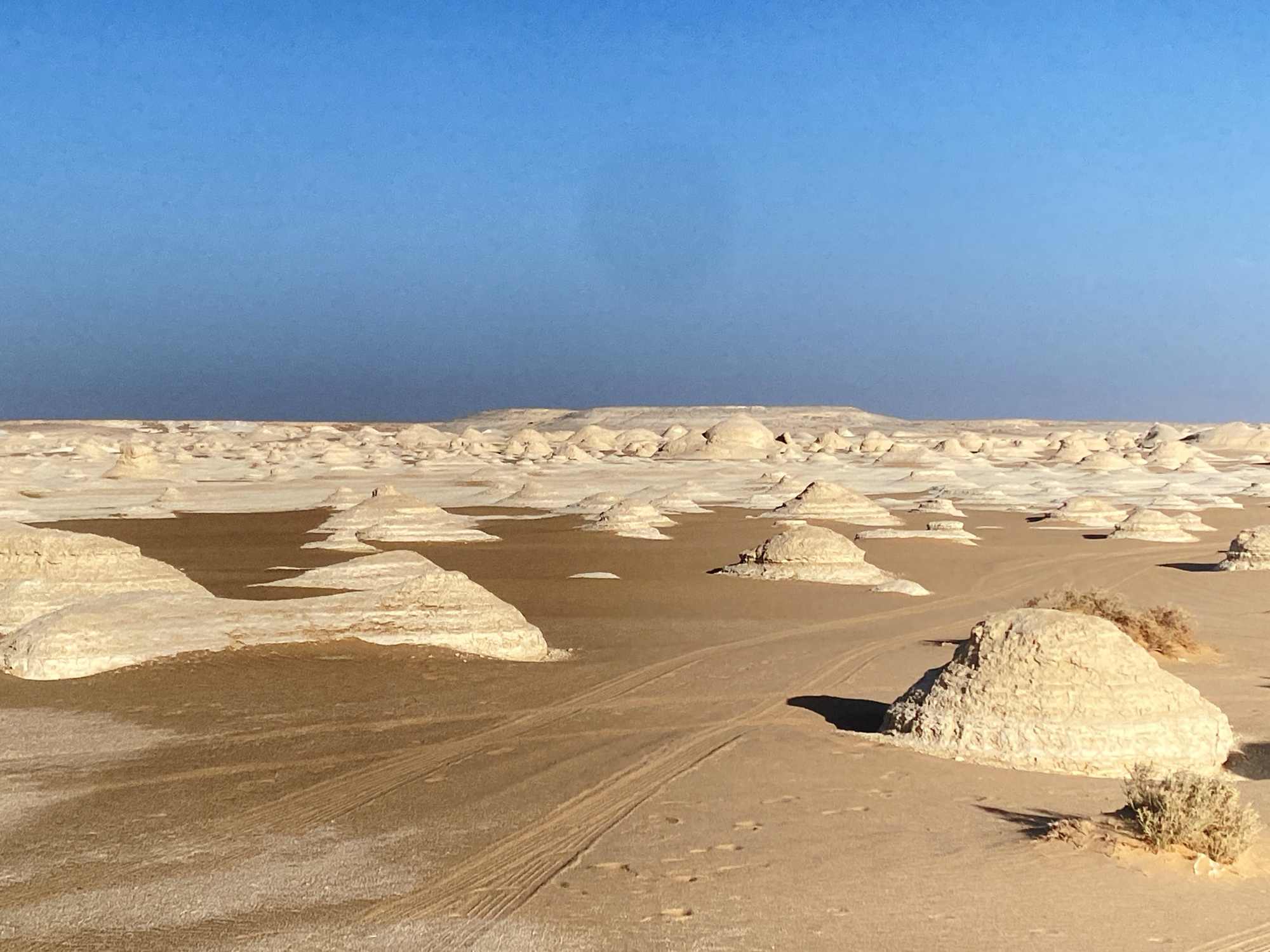 埃及黑白沙漠攻略｜從開羅到 Bahariya Oasis 的兩天一夜 White Desert 露營