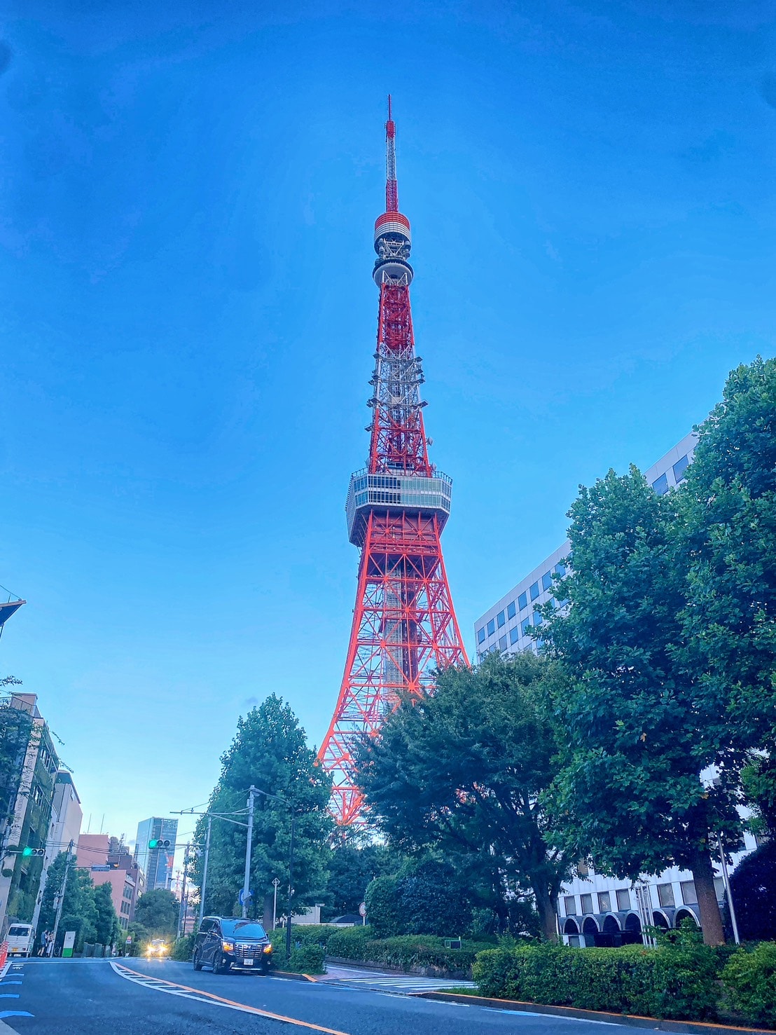 東京鐵塔夜景－Anne替媽媽實現的旅行願望